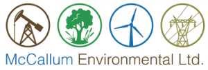 McCallum Environmental